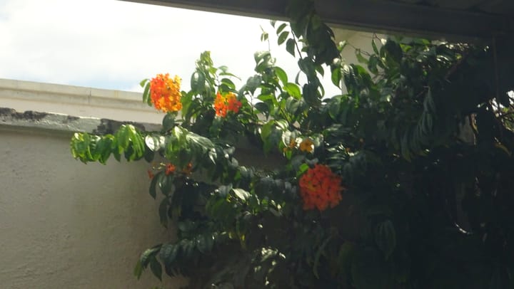 Promises - God does what He says - but what does He say?